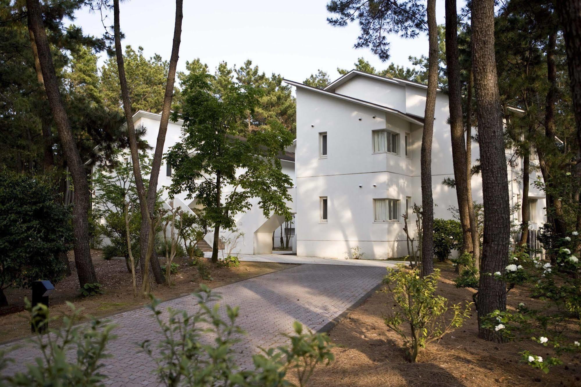 Luxze Hitotsuba/Cottage Himuka Miyazaki Eksteriør billede